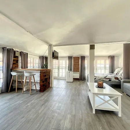Apartment Spacieux Climatise Au Centre De Perpignan